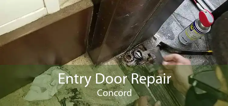 Entry Door Repair Concord