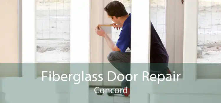 Fiberglass Door Repair Concord