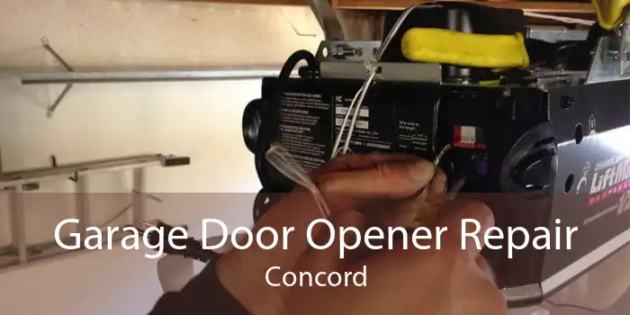 Garage Door Opener Repair Concord
