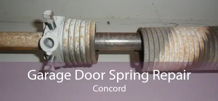 Garage Door Spring Repair Concord