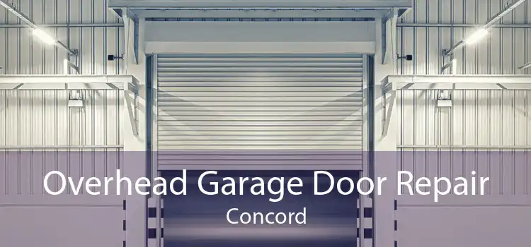 Overhead Garage Door Repair Concord