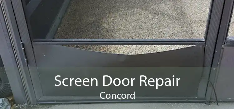 Screen Door Repair Concord