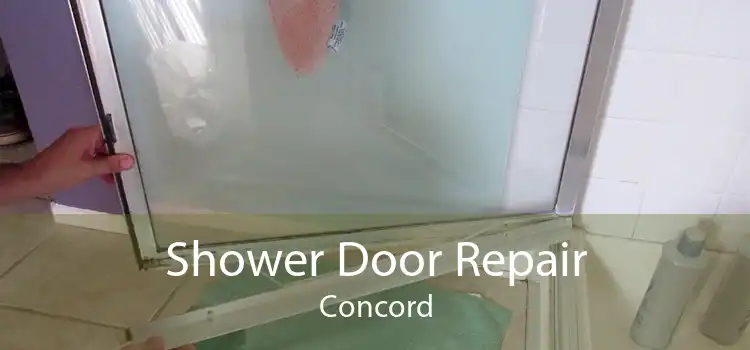 Shower Door Repair Concord