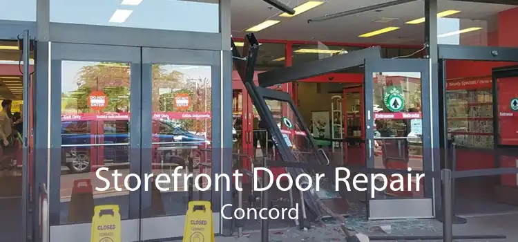 Storefront Door Repair Concord