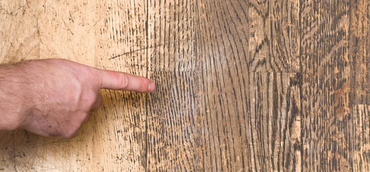 Wood Door Scratch Repair in Concord